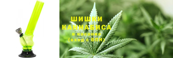 сатива Елизово